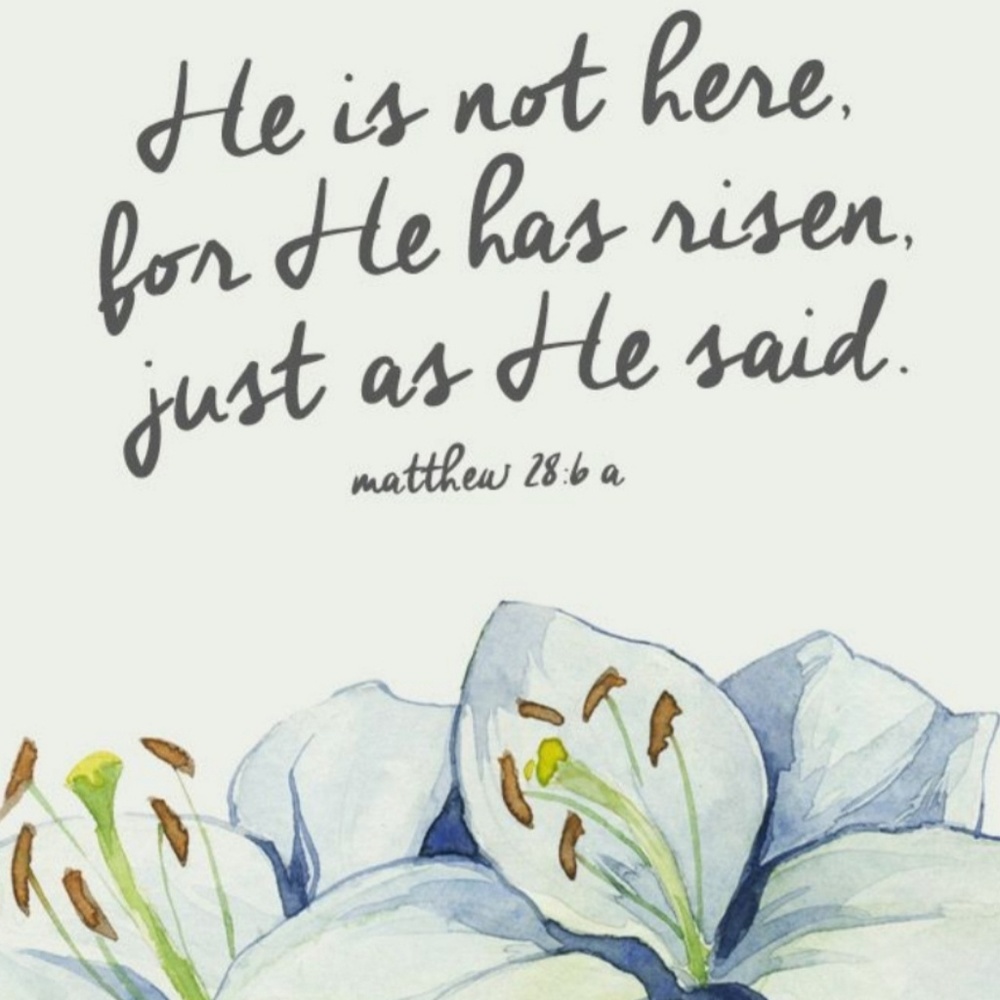 from shereadstruth.com